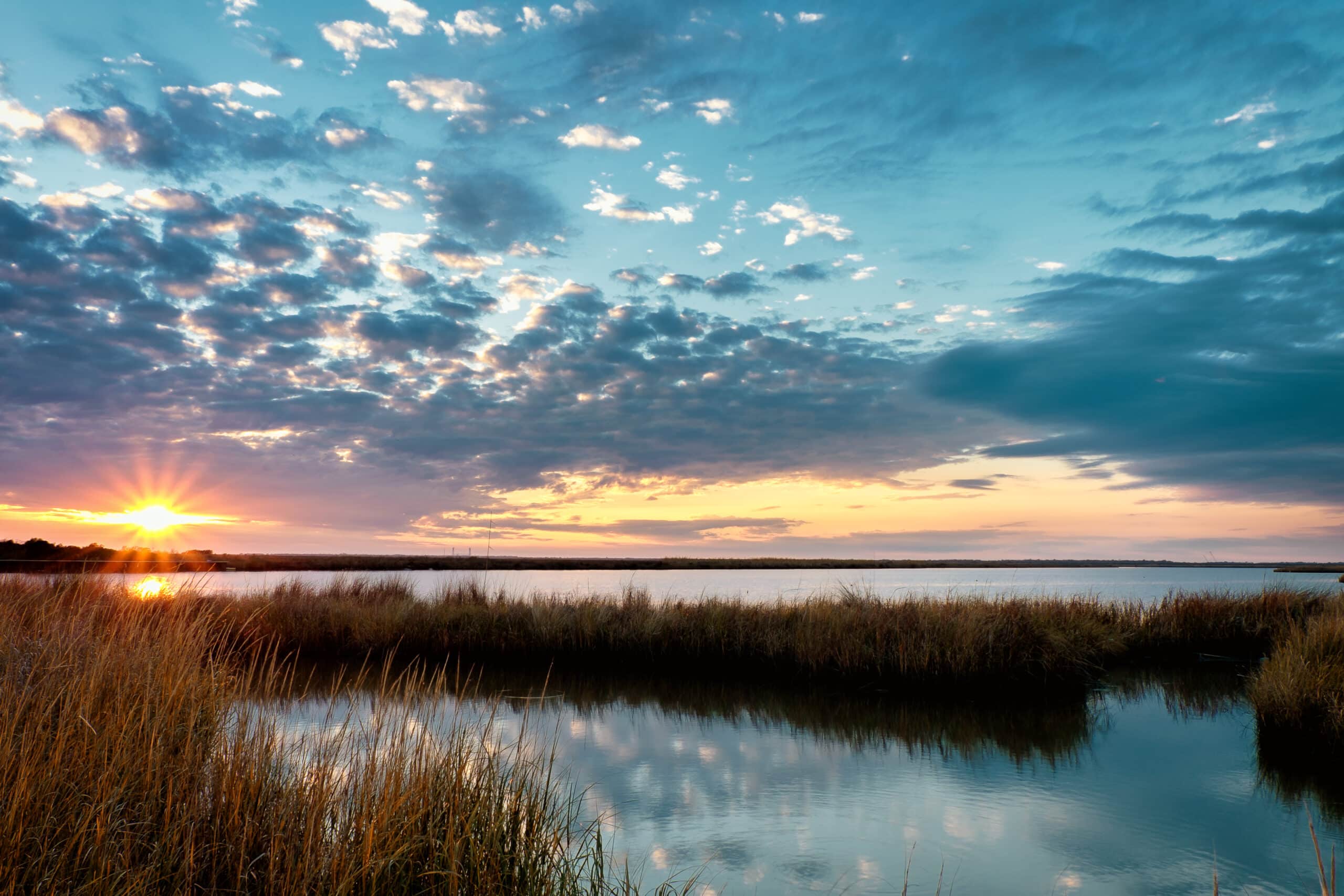 Setting winter sun on a Louisiana bayou