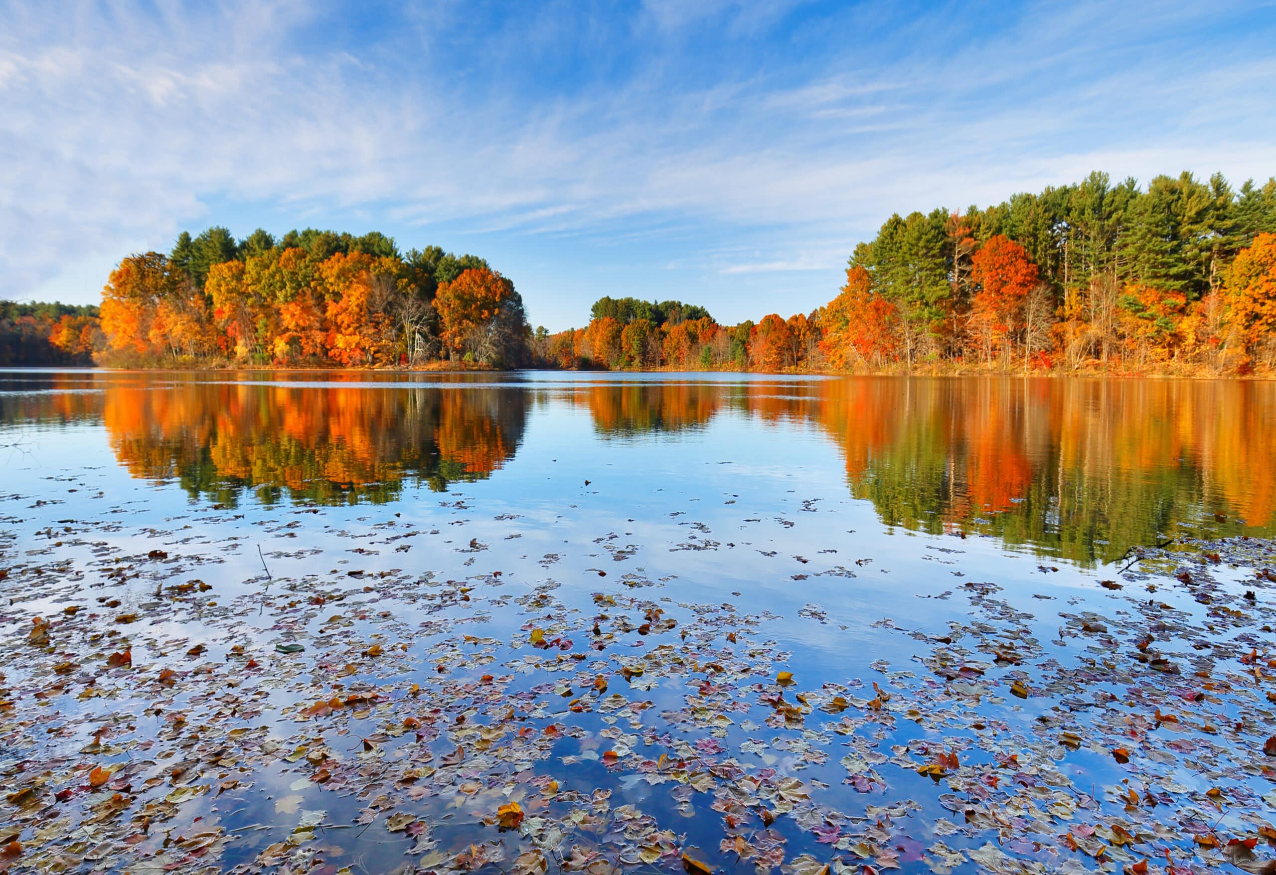 Beautiful New England Fall Foliage with reflections at sunrise, Boston Massachusetts