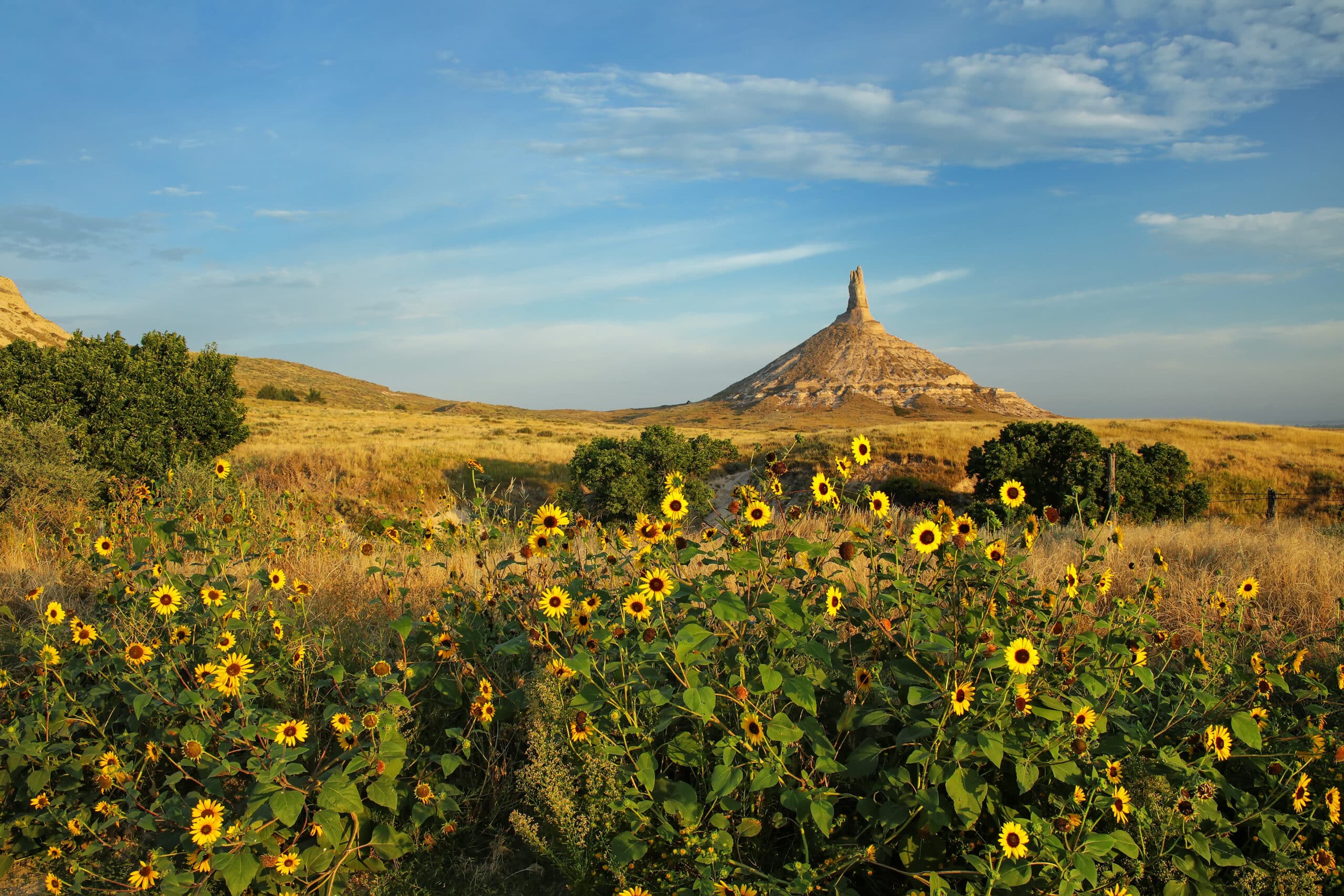 Chimney Rock National Historic Site with sunflowers, western Nebraska, USA. The peak of Chimney Rock is 1289 meters above sea level