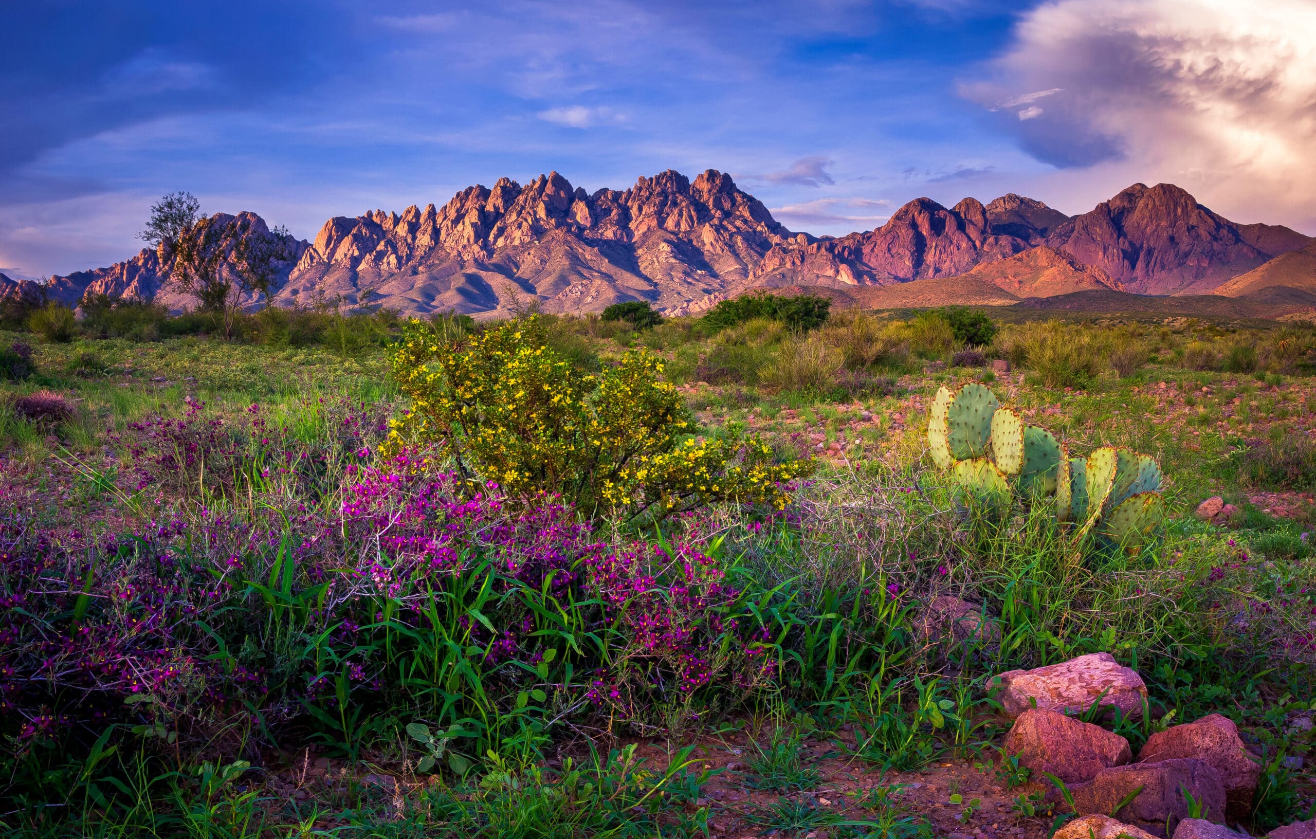Organ Mountains, Las Cruces - New Mexico