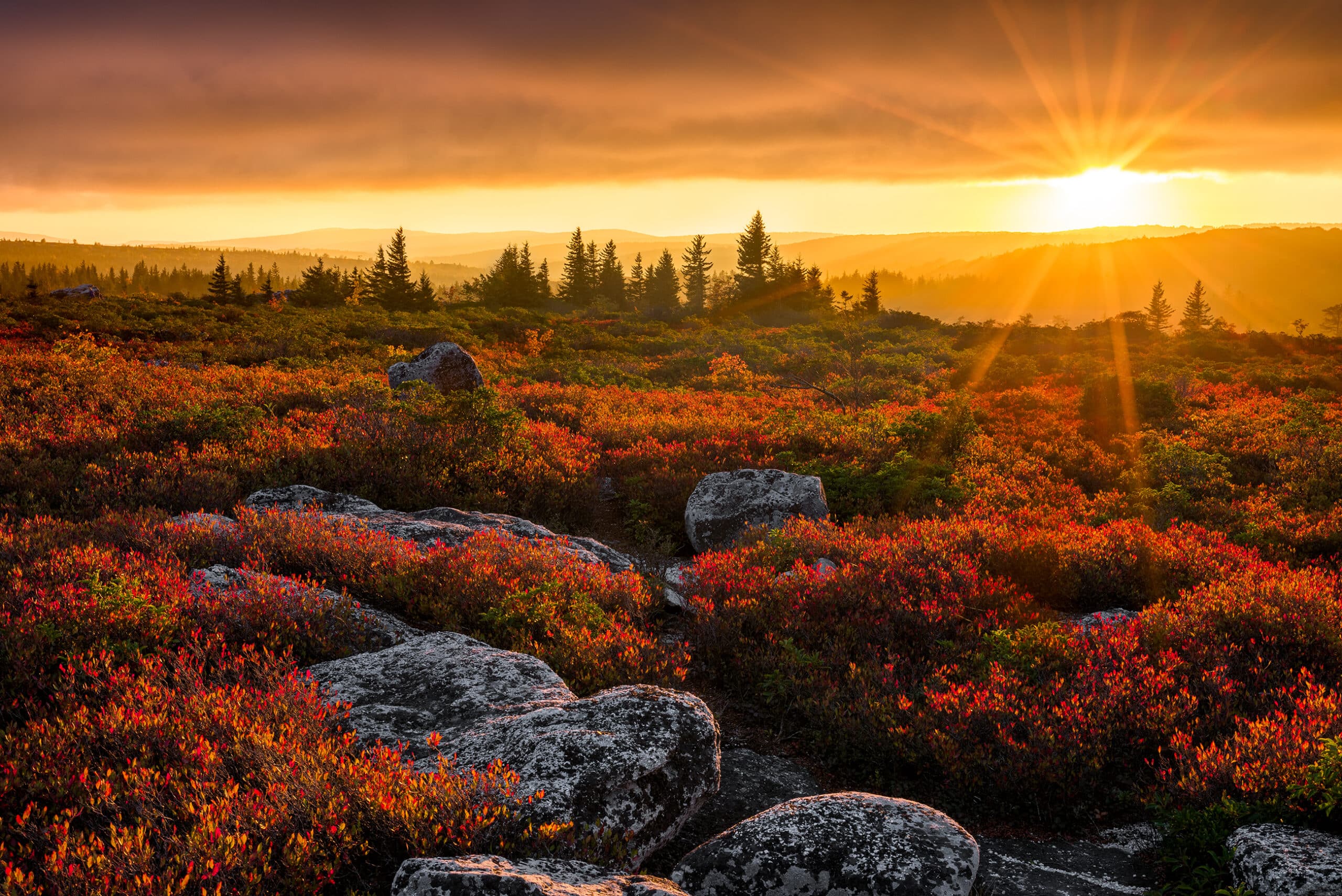 Autumn sunset, Dolly Sods Wilderness, West Virginia